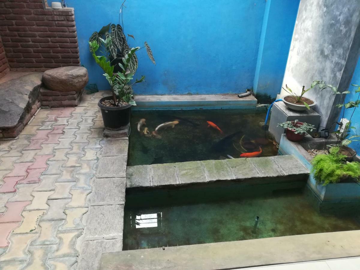 Aurora Echo Villa Matara Zewnętrze zdjęcie