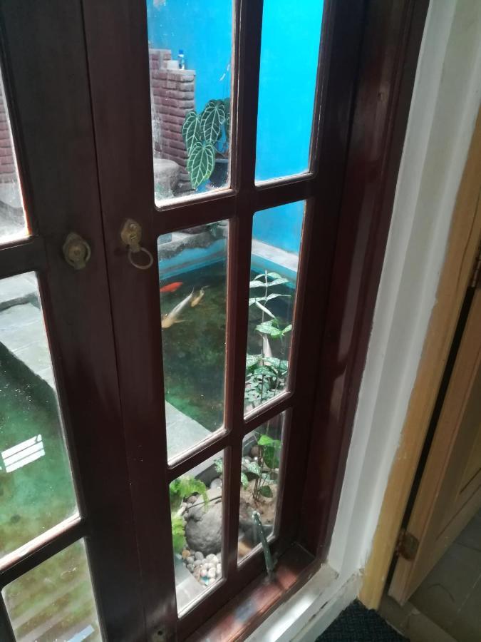 Aurora Echo Villa Matara Zewnętrze zdjęcie